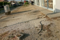 xomata_greenland22