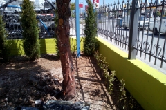 xomata_greenland29