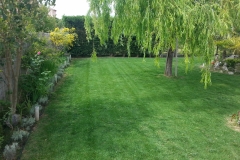 kipos_greenland101