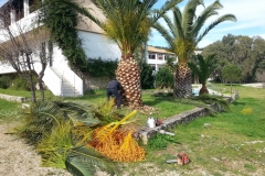 sintirisikipou_greenland105