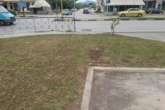 sintirisikipou_greenland108
