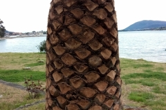 sintirisikipou_greenland19