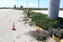 sintirisikipou_greenland22