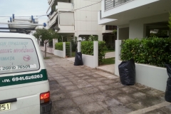 sintirisikipou_greenland33
