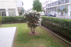 sintirisikipou_greenland34