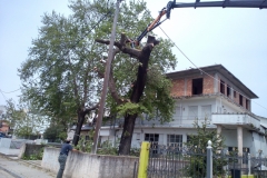 sintirisikipou_greenland42
