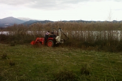 sintirisikipou_greenland49