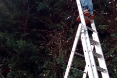 sintirisikipou_greenland68