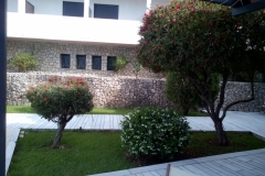sintirisikipou_greenland70