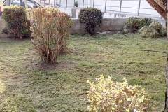 sintirisikipou_greenland77