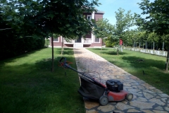 sintirisikipou_greenland80
