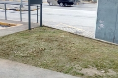 sintirisikipou_greenland81
