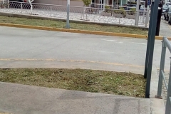 sintirisikipou_greenland82