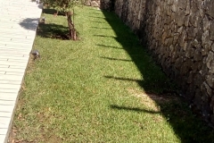 sintirisikipou_greenland91