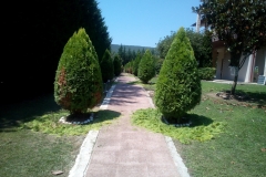 sintirisikipou_greenland94